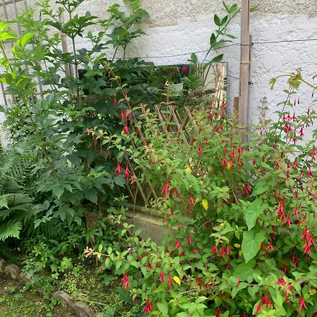 Casa vacanze Ibis Rouge Villars-les-Dombes