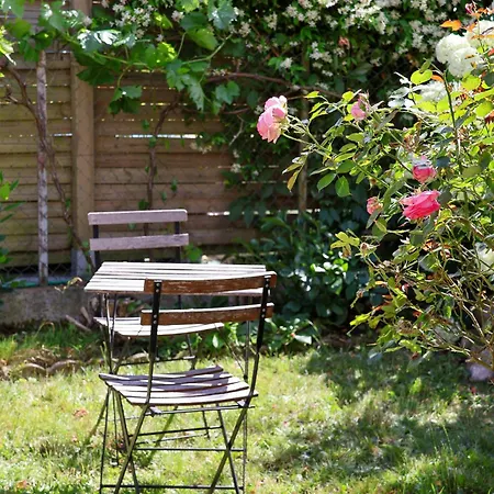 Ibis Rouge * Villars-les-Dombes